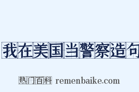 我在美国当警察造句是什么意思的图片